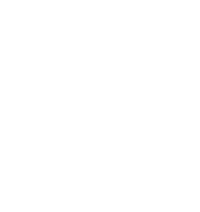 Logo Denis bianco